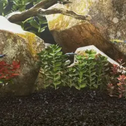 Arena Para Acuario Negra 10 Kg 0,2-2 Mm