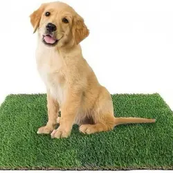 EMPAPADOR REUTILIZABLE ALFOMBRA ENTRENAMIENTO PIPI PARA PERRO CÉSPED ARTIFICIAL PETPLUS