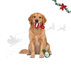 Wonder Christmas Cascabeles Navideños Peluche para perros 2 uds.