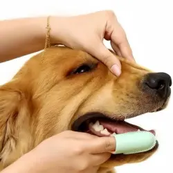 FurryFusion Cepillo de dedo para perros y gatos, paquete de 2 - Rosa