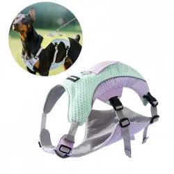 Pet Planet Arnés refrescante para perros de verano - Morado Verde XL