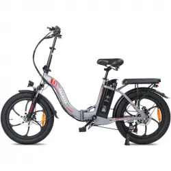 Fafrees F20 Bicicleta Eléctrica Motor 250W Batería 576Wh Autonomía 70km Gris