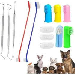 HausPets Paquete de 10 cepillos de dientes para perros y gatos - Artículo 1