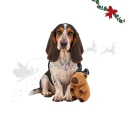 Wonder Christmas Capibara Peluche para perros 22 x 14 x 13 cm