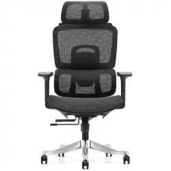 Owlotech Regal Silla Escritorio Ergonómica Mesh Negra