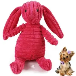 Pawffee Conejo de peluche chirriante – juguete para perros pequeños - 10×20cm