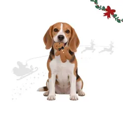 Wonder Christmas Muñeco Jengibre  para perros 28 x 17 x 5 cm