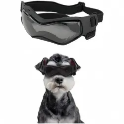 ZooVenture Gafas de sol para perros pequeños y medianos - Negro
