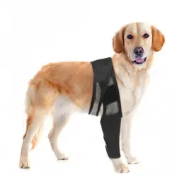 FurryFusion protector de codo para perros - METRO