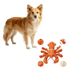 MCBOSON Peluche masticable langosta naranja sonido cachorros perros todas - 1 artículo