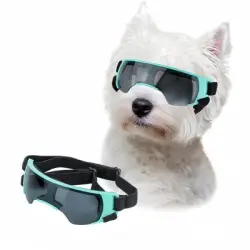 ZooVenture Gafas de sol para perros pequeños - 1 pieza