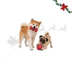 Wonder Christmas Hueso y Pelota  para perros 2 uds.