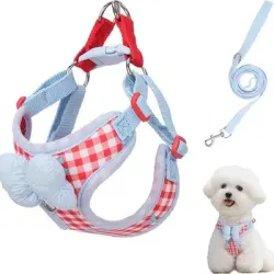 ZooVenture Arnés antitirones para perros - Correa, Rojo, Talla M - Rojo - M (Recomendado para gatos de 7 a 13 pulgadas)