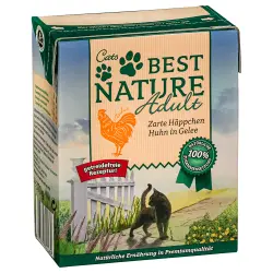 Best Nature Adulto comida húmeda para gatos 8 x 370 g - Pack mixto 4 variedades