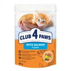 CLUB 4 PAWS Premium Pienso Húmedo para Gatitos con Salmon en salsa