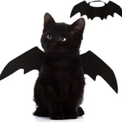 ZooVenture Alas de murciélago para gato - Fieltro negro, talla única - Negro - 16*45