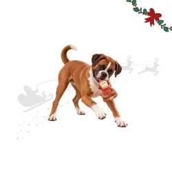 Wonder Christmas Mono Látex  para perros 12 x 9.5 x 8 cm