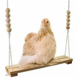 ZooVenture Columpio de gallina y juguete de pájaro - 1 pieza