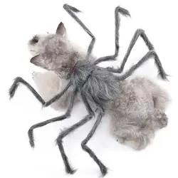 IntiMeg Disfraz de araña para perros - Una pieza