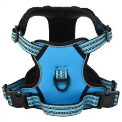 Arnés Para Perros Con Correa Y Collar Ajustable Azul S