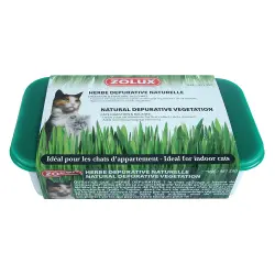 Hierba gatera Zolux - 15 x 10 x 5 cm (L x An x Al)