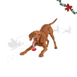 Wonder Christmas Hueso con Cuerda  para perros 34 x 13 x 5.5 cm
