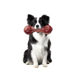 FurryFusion Hueso nailon serrado perros tamaño mediano, apto perros pasta - Artículo 1