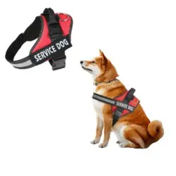 IntiMeg Arnés y correa para perros grandes - XXL 90-120 cm