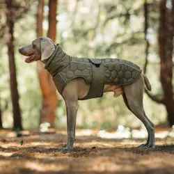 IntiMeg Chaqueta de invierno para perros - L