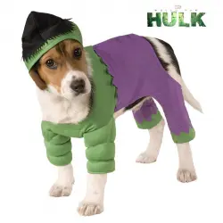 Disfraz de Hulk con gorro para perro