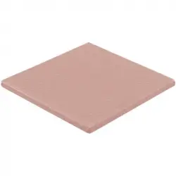 Thermal Grizzly Minus Pad 8 Almohadilla Térmica 30x30x1.0mm