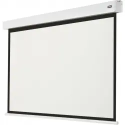 Celexon Motor Professional Plus Pantalla de Proyección con Batería V2.0 240x180cm 16:9