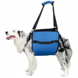 FurryFusion Transportín tipo bandolera para perros - Azul L