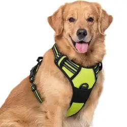 IntiMeg Arnés antitirones para perros - S