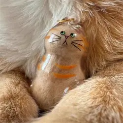 IntiMeg Cápsula para guardar pelo de gato - Una pieza