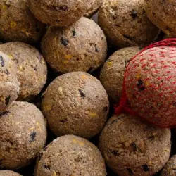 KLASEBO Bolas de grasa Premium con insectos y red - 200 x aprox. 90 g