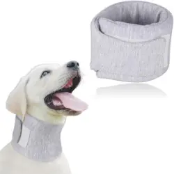 IntiMeg Collar protector para perros y gatos - Una pieza