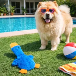 Summer Vibes Pato Dolce Vita Peluche  para perros - 33 x 18 cm