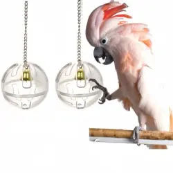 ZooVenture Pelotas de juguete transparentes para loros (2 unidades) - 2 piezas