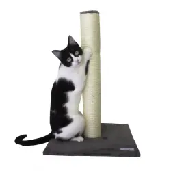 Catshion Pole Rascador Gris para gatos