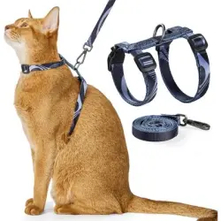 HausPets Arnés antiescape para gatos, color gris, disponible todas tallas - 1 artículo