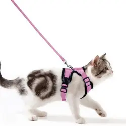 IntiMeg Arnés y correa para gatos y perros pequeños - S
