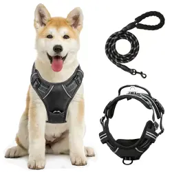 TheKingPet Arnés con diseño ergonómico + Correa cómoda de EVA para perros - S