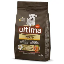 Ultima Dog Mini PRO+ Salmón - 1,1 kg