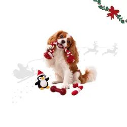 Wonder Christmas Pack Navideño  para perros - 4 uds.