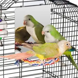 ZooVenture Espejo y juguetes para pájaros - Pequeño