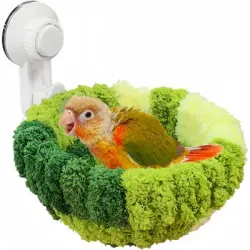 ZooVenture Nidos para pájaros con ventosas para ventanas, para loros - Verde