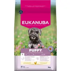 Eukanuba Premium Nutrition Puppy Small Breed pollo - 3 kg