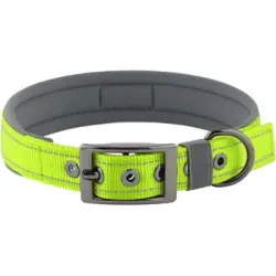 HausPets Collar grande ajustable de neopreno para perro hebilla nailon (CM) - Artículo 1