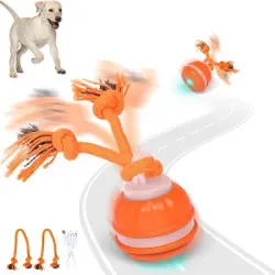 FurryFusion Pelota interactiva para perros - Naranja